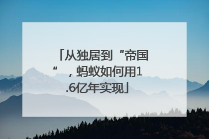 从独居到“帝国”，蚂蚁如何用1.6亿年实现