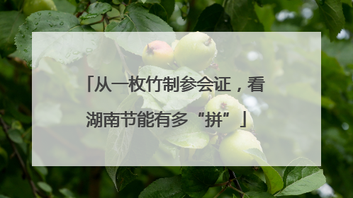 从一枚竹制参会证，看湖南节能有多“拼”