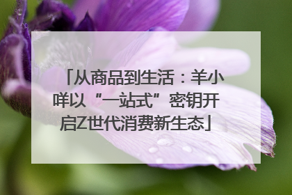 从商品到生活：羊小咩以“一站式”密钥开启Z世代消费新生态