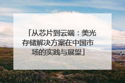 从芯片到云端：美光存储解决方案在中国市场的实践与展望