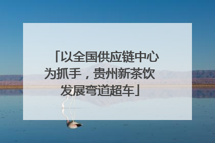 以全国供应链中心为抓手，贵州新茶饮发展弯道超车