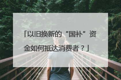 以旧换新的“国补”资金如何抵达消费者？