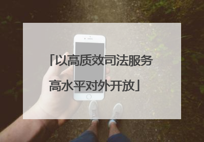 以高质效司法服务高水平对外开放