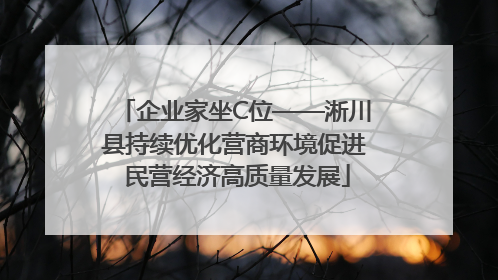 企业家坐C位——淅川县持续优化营商环境促进 民营经济高质量发展