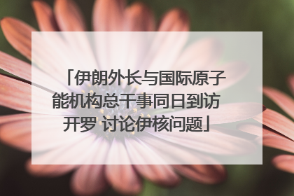 伊朗外长与国际原子能机构总干事同日到访开罗 讨论伊核问题