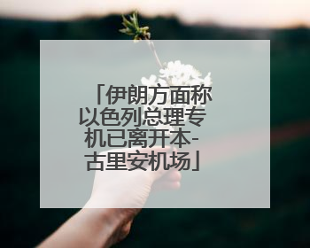 伊朗方面称以色列总理专机已离开本-古里安机场