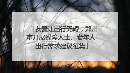 友爱让出行无碍，郑州市开展残障人士、老年人出行需求建议征集
