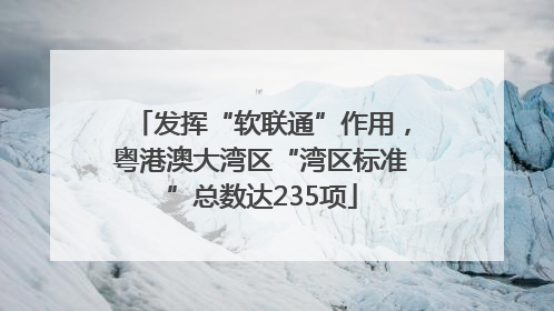 发挥“软联通”作用，粤港澳大湾区“湾区标准”总数达235项