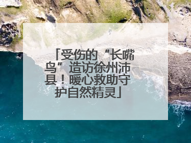 受伤的“长嘴鸟”造访徐州沛县！暖心救助守护自然精灵