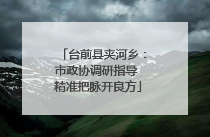 台前县夹河乡：市政协调研指导 精准把脉开良方