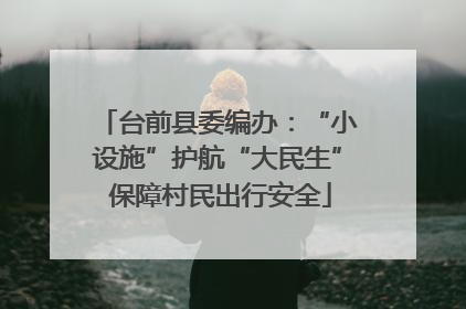 台前县委编办：“小设施”护航“大民生” 保障村民出行安全