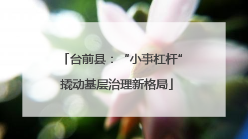 台前县：“小事杠杆”撬动基层治理新格局