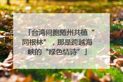 台湾同胞随州共植“同根林”，那是跨越海峡的“绿色情诗”