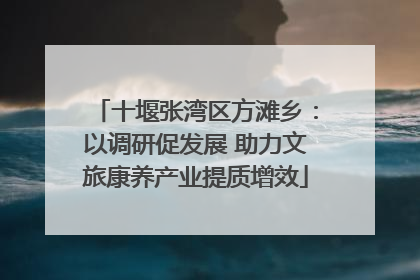 十堰张湾区方滩乡：以调研促发展 助力文旅康养产业提质增效