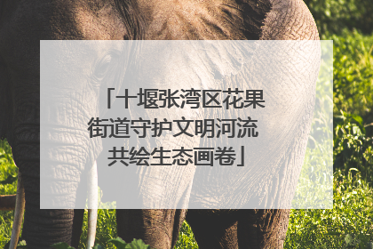十堰张湾区花果街道守护文明河流 共绘生态画卷