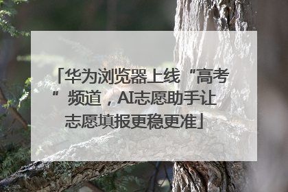 华为浏览器上线“高考”频道，AI志愿助手让志愿填报更稳更准