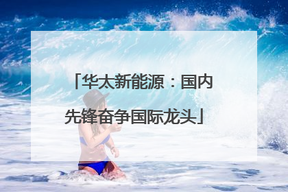 华太新能源：国内先锋奋争国际龙头