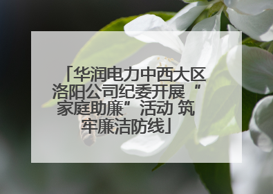 华润电力中西大区洛阳公司纪委开展“家庭助廉”活动 筑牢廉洁防线