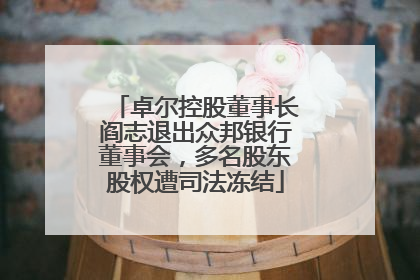 卓尔控股董事长阎志退出众邦银行董事会，多名股东股权遭司法冻结