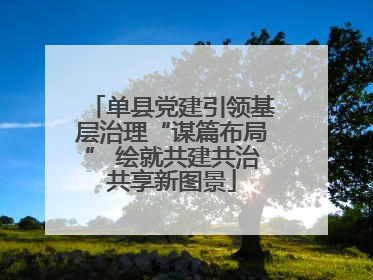 单县党建引领基层治理“谋篇布局” 绘就共建共治共享新图景