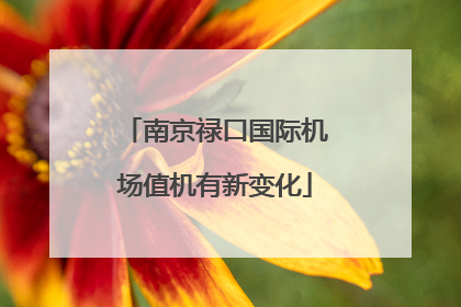 南京禄口国际机场值机有新变化