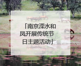 南京溧水和凤开展传统节日主题活动