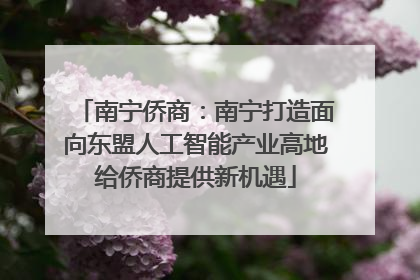 南宁侨商：南宁打造面向东盟人工智能产业高地给侨商提供新机遇