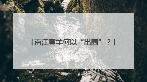 南江黄羊何以“出圈”？