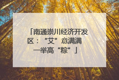 南通崇川经济开发区：“艾”意满满 一举高“粽”