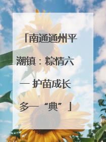 南通通州平潮镇：粽情六一 护苗成长多一“典”