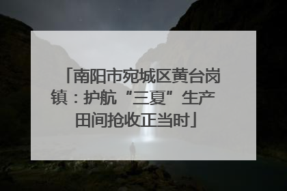 南阳市宛城区黄台岗镇：护航“三夏”生产 田间抢收正当时