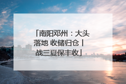 南阳邓州：大头落地 收储归仓丨战三夏保丰收