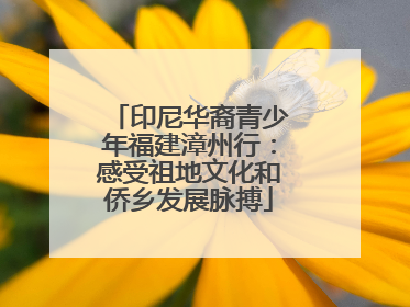 印尼华裔青少年福建漳州行：感受祖地文化和侨乡发展脉搏