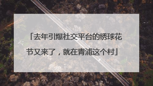 去年引爆社交平台的绣球花节又来了，就在青浦这个村