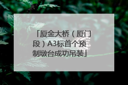 厦金大桥（厦门段）A3标首个预制墩台成功吊装
