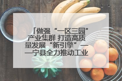 做强“一区三园”产业集群 打造高质量发展“新引擎”——宁县全力推动工业经济提质增效