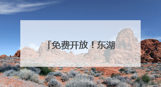 免费开放！东湖公园共享茶空间上线，自带茶具就能泡茶话仙