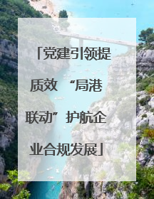 党建引领提质效 “局港联动”护航企业合规发展