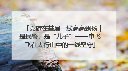党旗在基层一线高高飘扬｜是民警、是“儿子”——申飞飞在太行山中的一线坚守