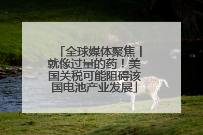 全球媒体聚焦丨就像过量的药！美国关税可能阻碍该国电池产业发展