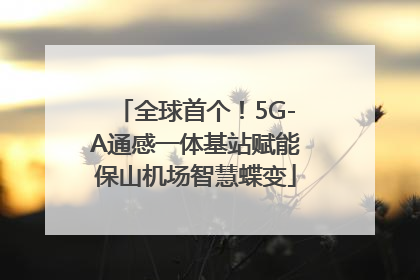 全球首个！5G-A通感一体基站赋能保山机场智慧蝶变
