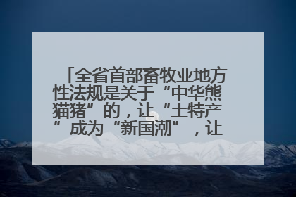全省首部畜牧业地方性法规是关于“中华熊猫猪”的，让“土特产”成为“新国潮”，让“农产品”升格为“城市IP”