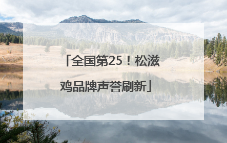 全国第25！松滋鸡品牌声誉刷新