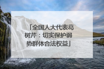 全国人大代表葛树芹：切实保护弱势群体合法权益