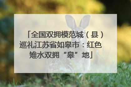 全国双拥模范城（县）巡礼江苏省如皋市：红色雉水双拥“皋”地