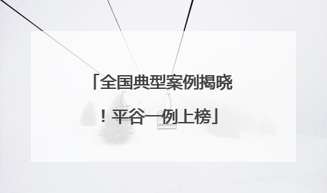 全国典型案例揭晓！平谷一例上榜