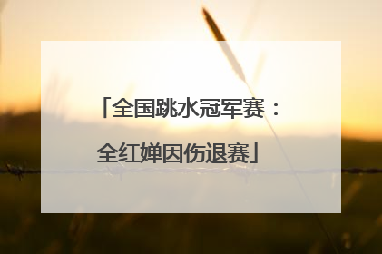 全国跳水冠军赛：全红婵因伤退赛