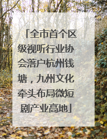 全市首个区级视听行业协会落户杭州钱塘，九州文化牵头布局微短剧产业高地