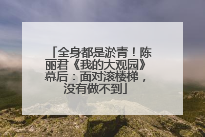 全身都是淤青！陈丽君《我的大观园》幕后：面对滚楼梯，没有做不到