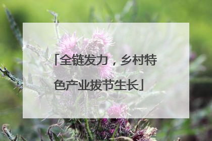 全链发力，乡村特色产业拔节生长